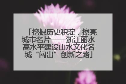 挖掘历史积淀，擦亮城市名片——浙江丽水高水平建设山水文化名城“闯出”创新之路
