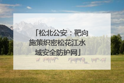 松北公安：靶向施策织密松花江水域安全防护网