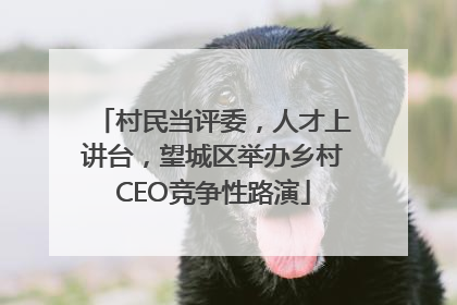 村民当评委，人才上讲台，望城区举办乡村CEO竞争性路演