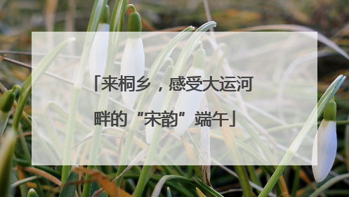 来桐乡，感受大运河畔的“宋韵”端午