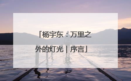 杨宇东：万里之外的灯光｜序言