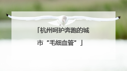 杭州呵护奔跑的城市“毛细血管”