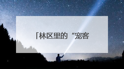 林区里的“宠客执法”｜湖北市场监管所的故事