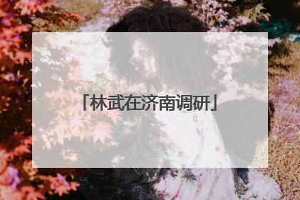 林武在济南调研