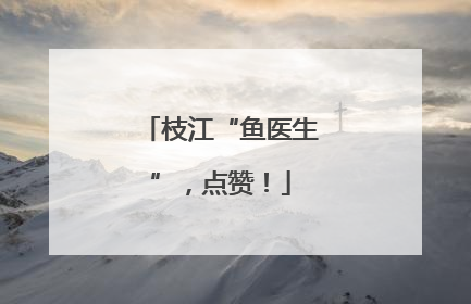 枝江“鱼医生”，点赞！