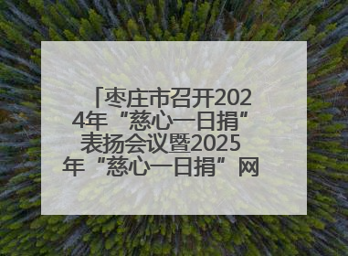 枣庄市召开2024年“慈心一日捐”表扬会议暨2025年“慈心一日捐”网络募捐动员会议