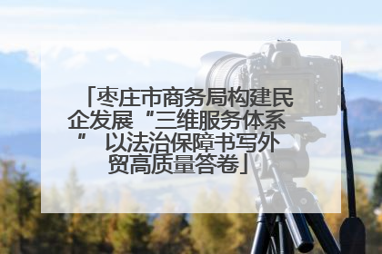 枣庄市商务局构建民企发展“三维服务体系” 以法治保障书写外贸高质量答卷