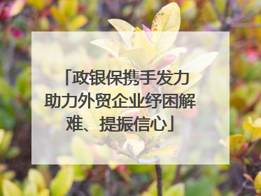 政银保携手发力 助力外贸企业纾困解难、提振信心