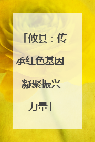 攸县：传承红色基因 凝聚振兴力量