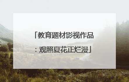 教育题材影视作品：观照夏花正烂漫