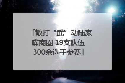 散打“武”动陆家嘴商圈 19支队伍300余选手参赛