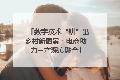 数字技术“耕”出乡村新图景：电商助力三产深度融合