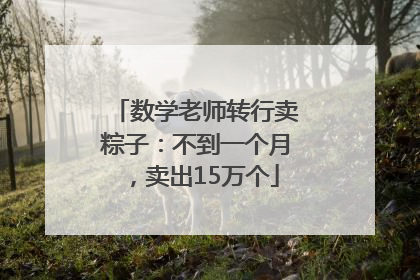 数学老师转行卖粽子：不到一个月，卖出15万个