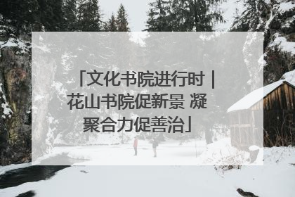 文化书院进行时｜花山书院促新景 凝聚合力促善治