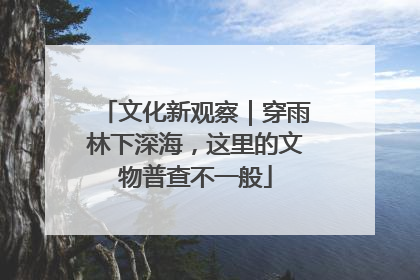 文化新观察｜穿雨林下深海，这里的文物普查不一般