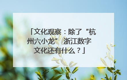 文化观察：除了“杭州六小龙” 浙江数字文化还有什么？