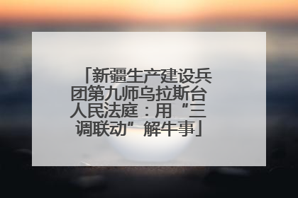 新疆生产建设兵团第九师乌拉斯台人民法庭：用“三调联动”解牛事