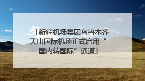 新疆机场集团乌鲁木齐天山国际机场正式启用“国内转国际”通道