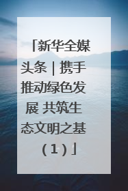 新华全媒头条｜携手推动绿色发展 共筑生态文明之基（1）