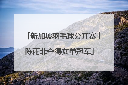 新加坡羽毛球公开赛丨陈雨菲夺得女单冠军