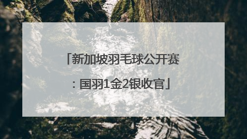 新加坡羽毛球公开赛：国羽1金2银收官