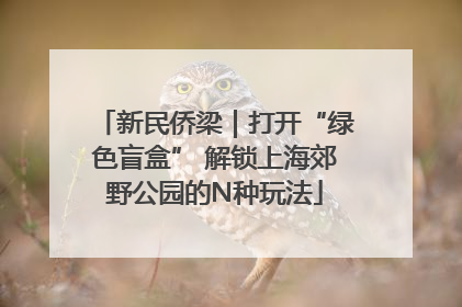 新民侨梁｜打开“绿色盲盒” 解锁上海郊野公园的N种玩法