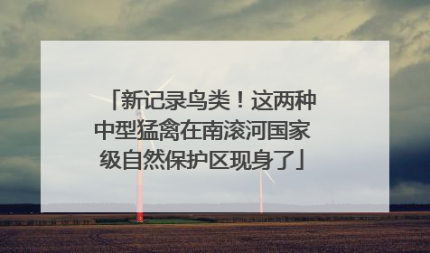 新记录鸟类！这两种中型猛禽在南滚河国家级自然保护区现身了