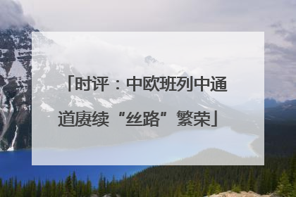 时评：中欧班列中通道赓续“丝路”繁荣