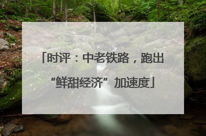 时评：中老铁路，跑出“鲜甜经济”加速度