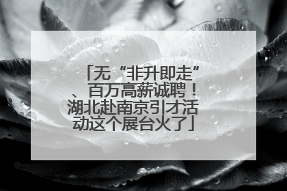 无“非升即走”、百万高薪诚聘！湖北赴南京引才活动这个展台火了