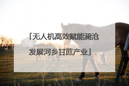 无人机高效赋能澜沧发展河乡甘蔗产业
