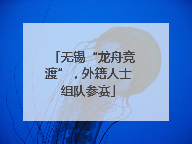 无锡“龙舟竞渡”，外籍人士组队参赛