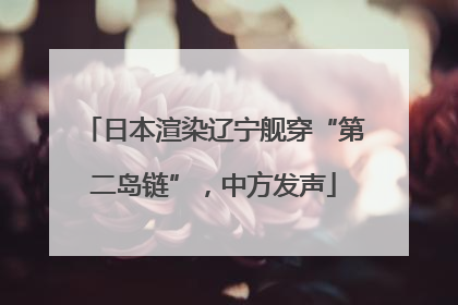 日本渲染辽宁舰穿“第二岛链”，中方发声
