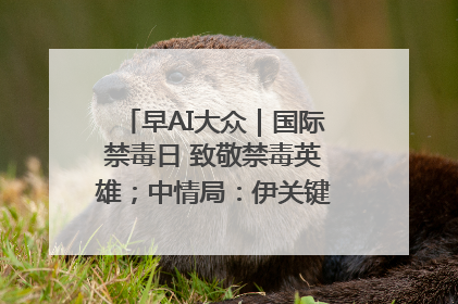 早AI大众｜国际禁毒日 致敬禁毒英雄；中情局：伊关键核设施被摧毁
