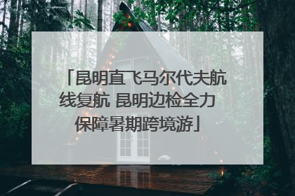 昆明直飞马尔代夫航线复航 昆明边检全力保障暑期跨境游