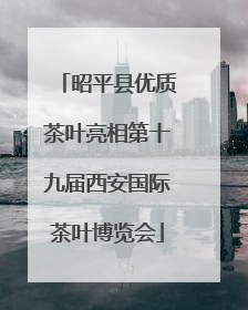 昭平县优质茶叶亮相第十九届西安国际茶叶博览会