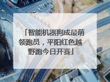 智能机器狗成最萌领跑员，平阳红色越野跑今日开赛