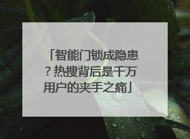 智能门锁成隐患？热搜背后是千万用户的夹手之痛