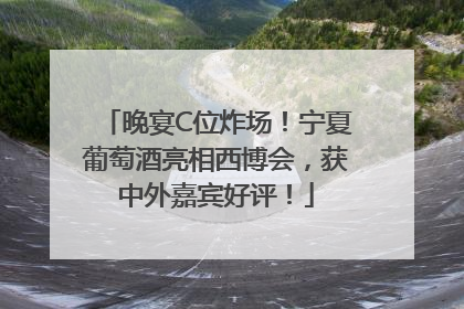 晚宴C位炸场！宁夏葡萄酒亮相西博会，获中外嘉宾好评！