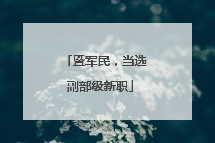 暨军民，当选副部级新职