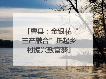 曹县：金银花“三产融合”托起乡村振兴致富梦