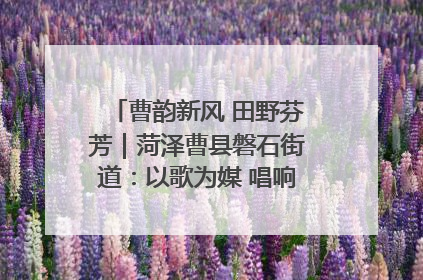 曹韵新风 田野芬芳｜菏泽曹县磐石街道：以歌为媒 唱响乡土“新歌声”