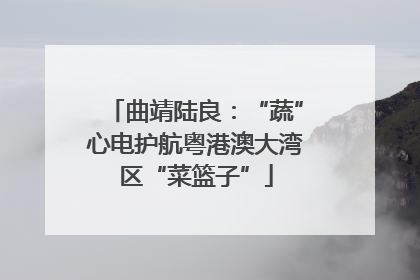 曲靖陆良：“蔬”心电护航粤港澳大湾区“菜篮子”