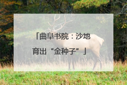 曲阜书院：沙地育出“金种子”