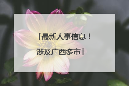 最新人事信息！涉及广西多市