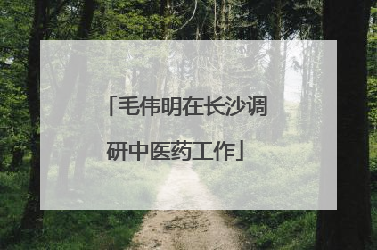 毛伟明在长沙调研中医药工作