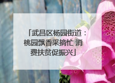武昌区杨园街道：桃园飘香采摘忙 消费扶贫促振兴