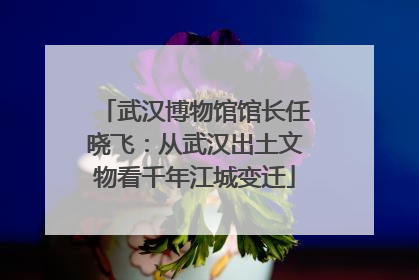 武汉博物馆馆长任晓飞：从武汉出土文物看千年江城变迁