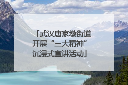 武汉唐家墩街道开展“三大精神”沉浸式宣讲活动