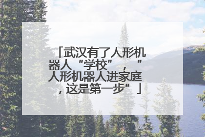 武汉有了人形机器人“学校”，“人形机器人进家庭，这是第一步”